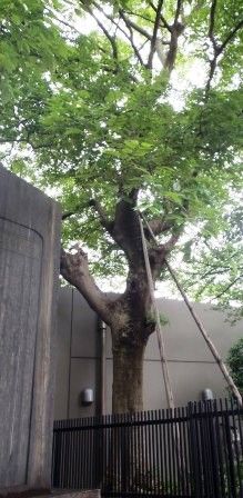 マーハーカルナ法話20170514 008
