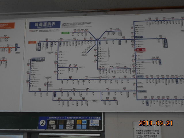 大和郡山市内散策 金魚資料館 シニア自然大学校自然と環境科野外活動 元気シニアの呑気日記 大和郡山市内散策 金魚資料館 シニア自然大学校自然と環境科野外活動 元気シニアの呑気日記