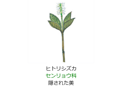 元気シニアの呑気日記 元気シニアの呑気日記