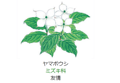 元気シニアの呑気日記