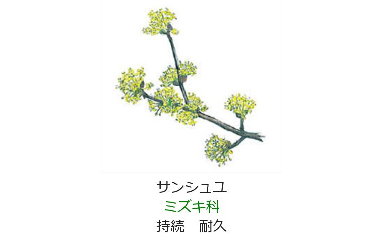 2月14日誕生日の花と花言葉 サンシュユ 元気シニアの呑気日記