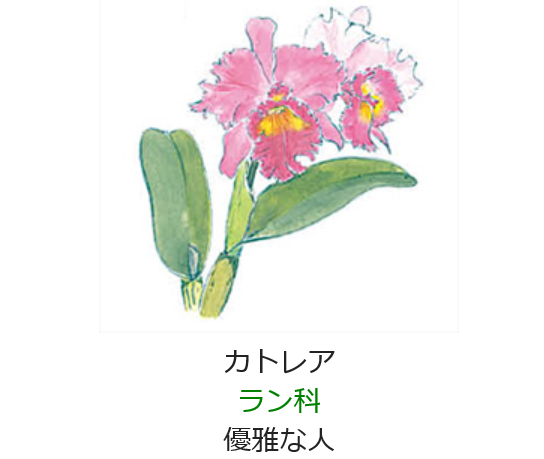 12月29日の誕生日の花と花言葉 カトレア 元気シニアの呑気日記