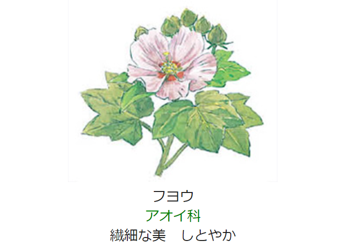 元気シニアの呑気日記 9月14日 誕生日の花と花言葉 フヨウ 元気シニアの呑気日記 9月14日 誕生日の花と花言葉 フヨウ