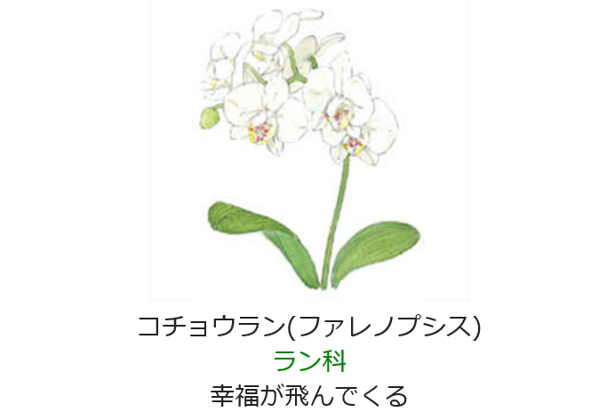 4j Byjia11hgm 4j Byjia11hgm