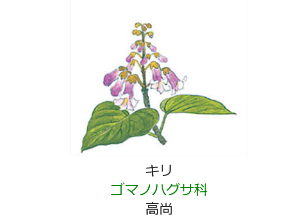 5月9日 誕生日の花と花言葉 キリ 元気シニアの呑気日記