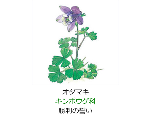 元気シニアの呑気日記