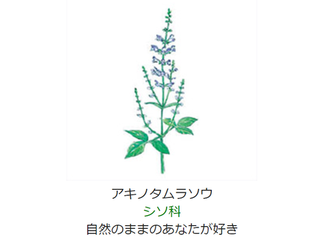 元気シニアの呑気日記 nhkラジオ深夜便 元気シニアの呑気日記 nhkラジオ深夜便