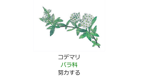 元気シニアの呑気日記