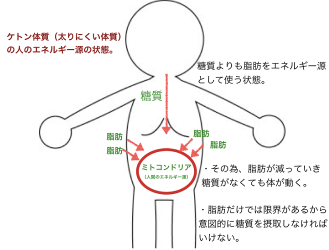 糖質制限食でケトン体質へ 元気シニアの呑気日記