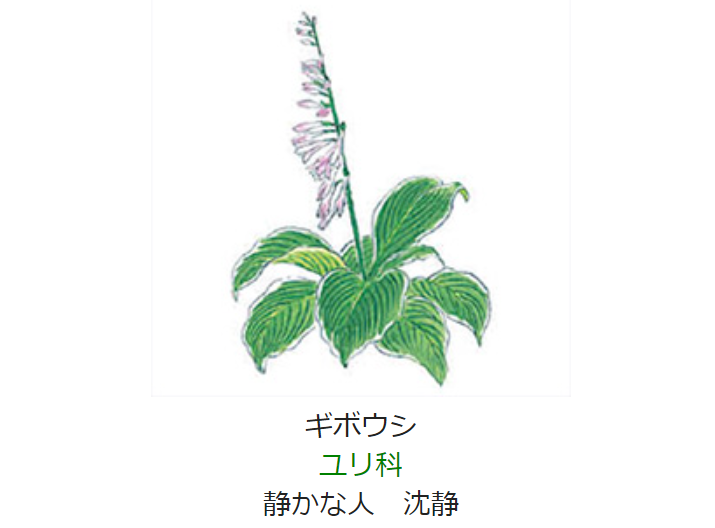 7月9日 誕生日の花と花言葉 ギボウシ 元気シニアの呑気日記 7月9日 誕生日の花と花言葉 ギボウシ 元気シニアの呑気日記
