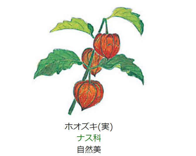 8月14日 誕生日の花と花言葉 ホオズキ 元気シニアの呑気日記 8月14日 誕生日の花と花言葉 ホオズキ 元気シニアの呑気日記