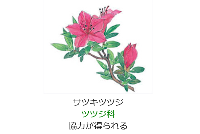 元気シニアの呑気日記 6月1日 誕生日の花と花言葉 サツキツツジ 元気シニアの呑気日記 6月1日 誕生日の花と花言葉 サツキツツジ