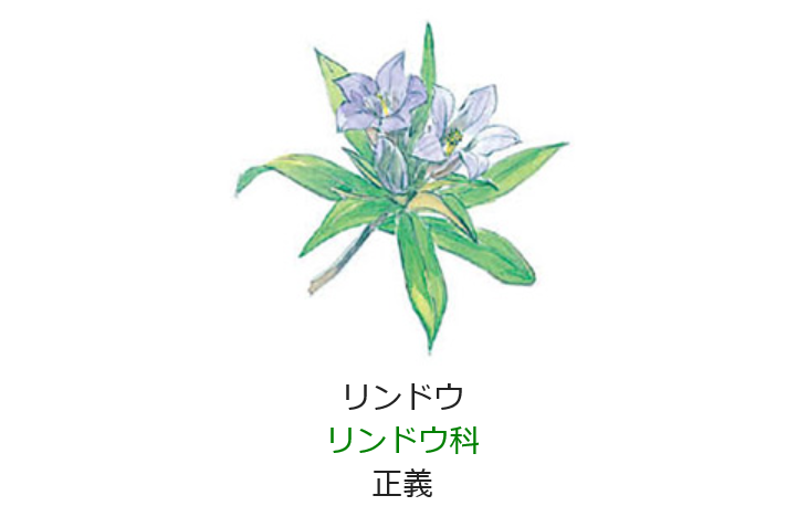 11月22日の誕生日の花と花言葉 リンドウ 元気シニアの呑気日記
