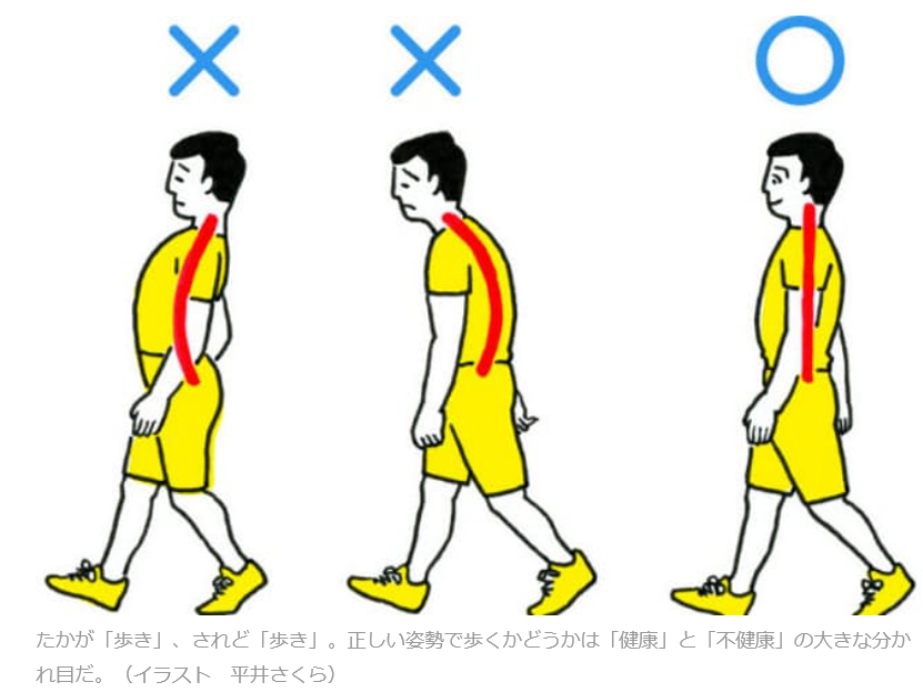 腰痛 肩こり 膝痛は 悪い歩き方 が原因 元気シニアの呑気日記 腰痛 肩こり 膝痛は 悪い歩き方 が原因 元気シニアの呑気日記