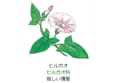 元気シニアの呑気日記 元気シニアの呑気日記