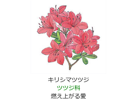 元気シニアの呑気日記