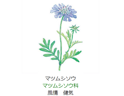元気シニアの呑気日記 ｎｈｋラジオ深夜便
