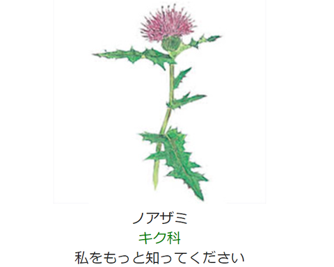 元気シニアの呑気日記