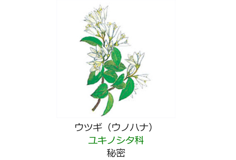 元気シニアの呑気日記