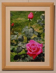 2025,11 さまのこの会　作品展 (12)