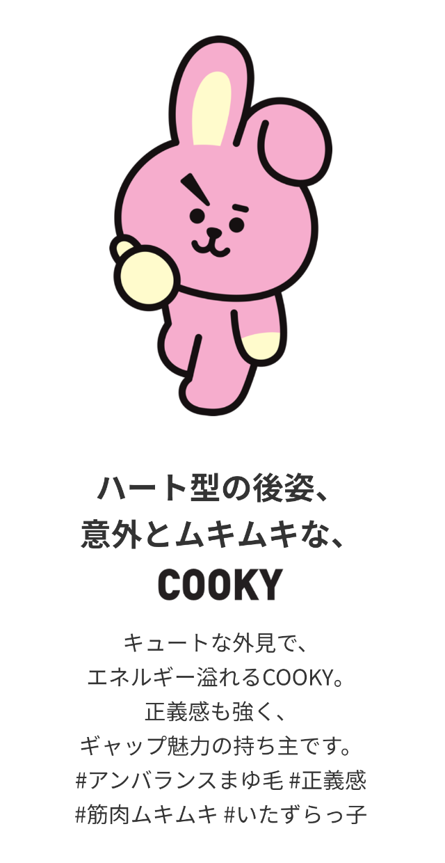 良好品】 BTS BT21 COOKY 掛け布団 ジョングク JUNGKOOK fawe.org