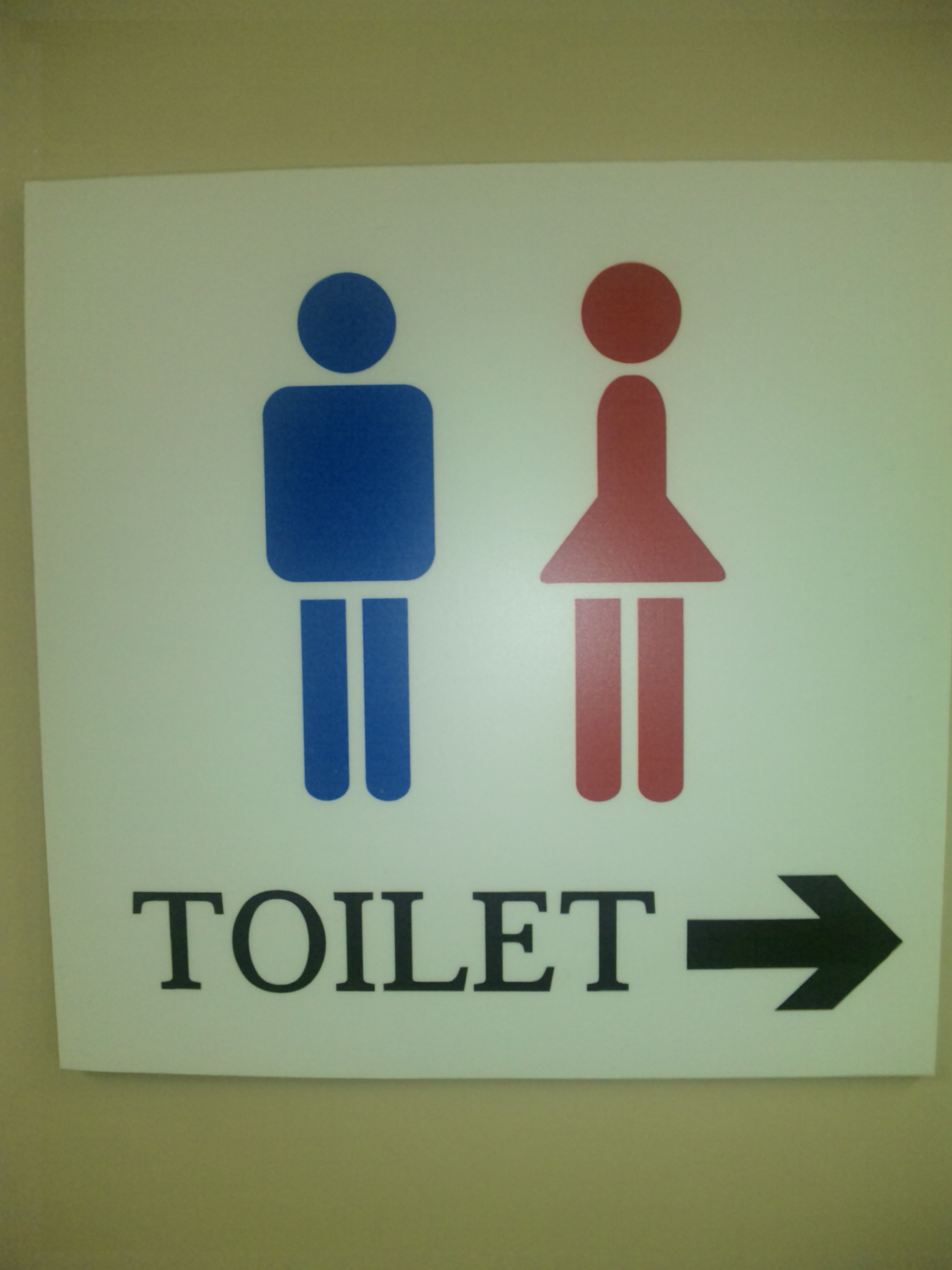 岡根 トイレの美術館 ｓａトレーナーの目のつけドコロ