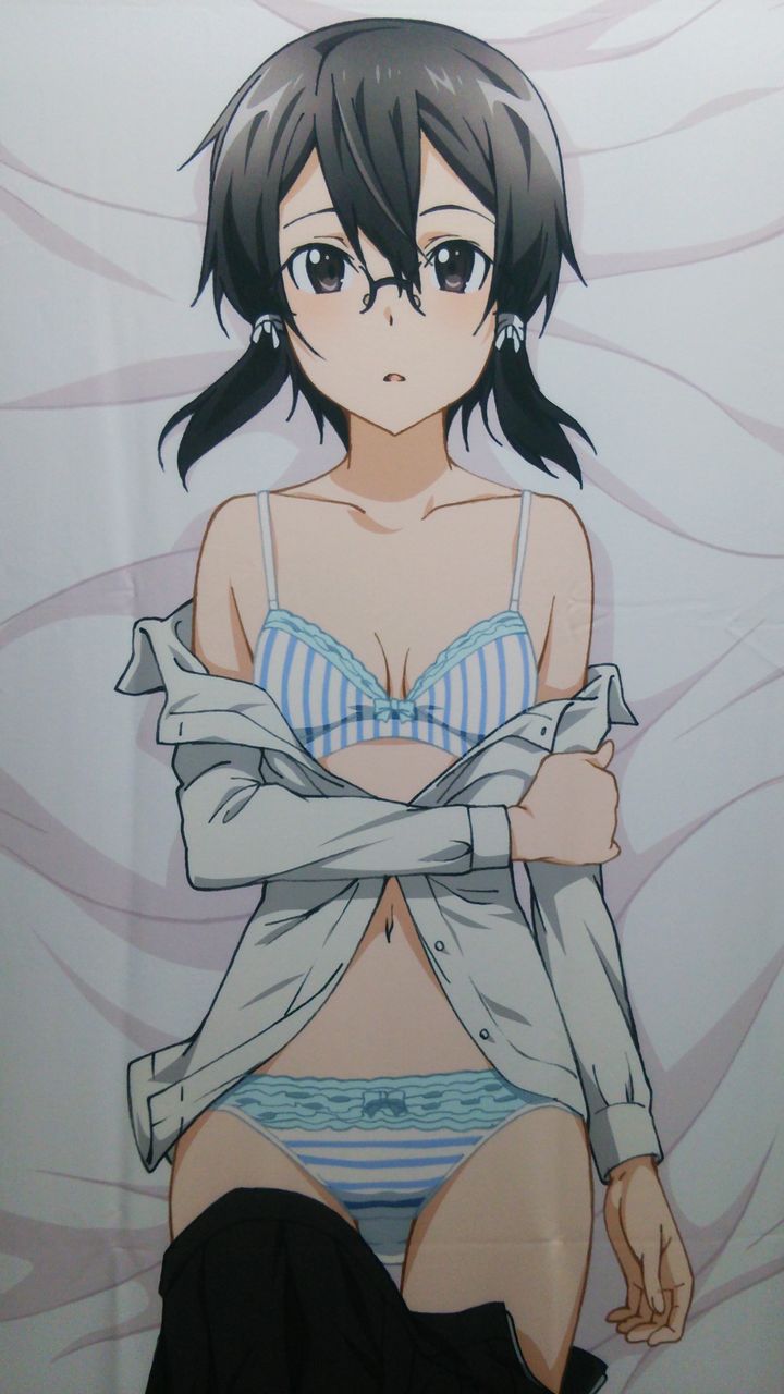 ソードアート・オンラインⅡ」シノン×詩乃 抱き枕カバーレビュー : 法しぶ。