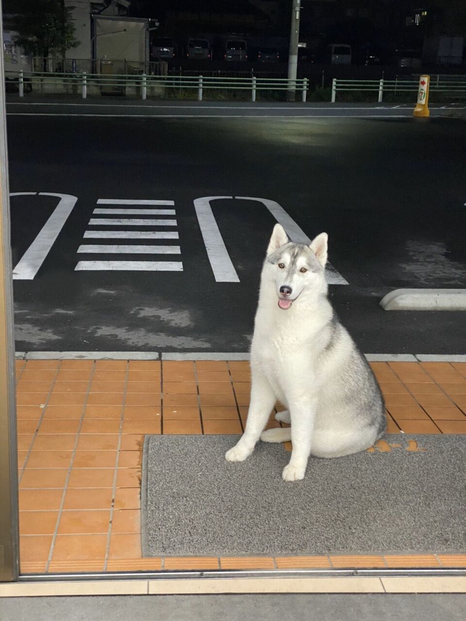 マジレス頼む なんかコンビニに犬いた 画像あり Vipのまとめをまとめました マジレス頼む なんかコンビニに犬いた 画像あり Vipのまとめをまとめました