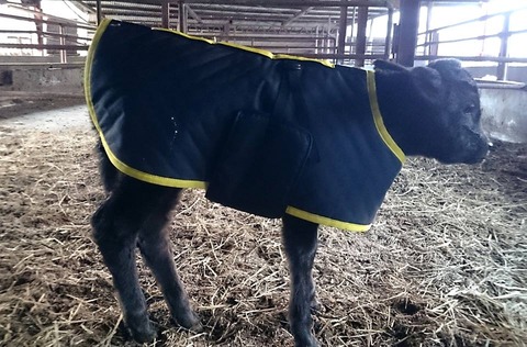 10891444_724916224270347_7067559562833604083_n