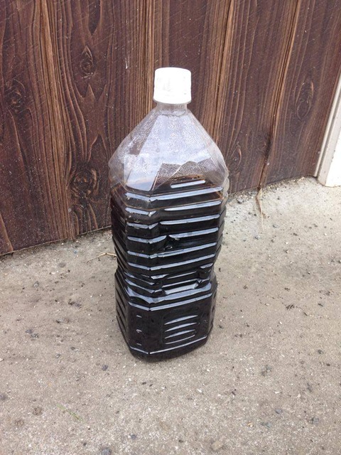 10606038_605957552854597_4150413157061262755_n