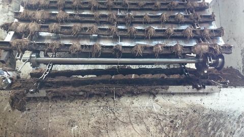 10959489_736966173065352_2839071910232460274_n