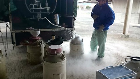 66150_724915974270372_5408594099980347637_n