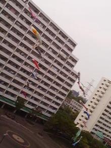 t02200293_0240032011944682986