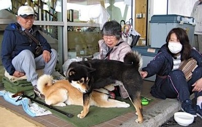 kuma4