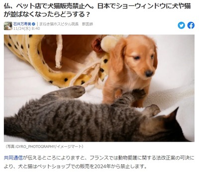 futsu