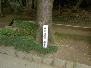 PICT5394
