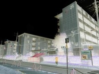 o0500037511518718033