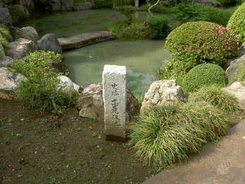 PICT5464