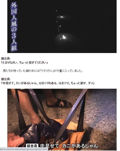 mihama3