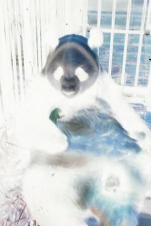clip_image001
