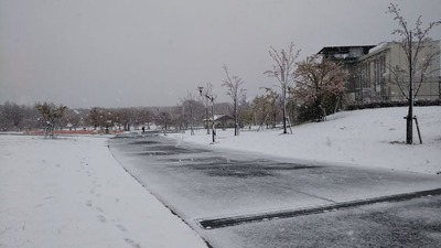 toneri