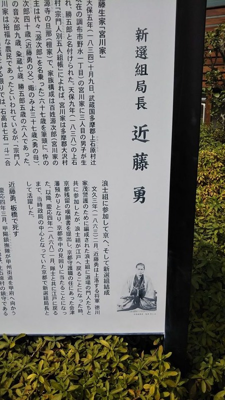 shin8