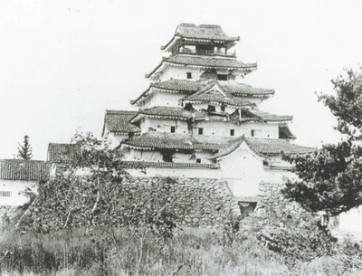 aidu