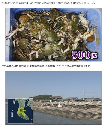 mihama2