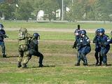 e90426f8.jpg