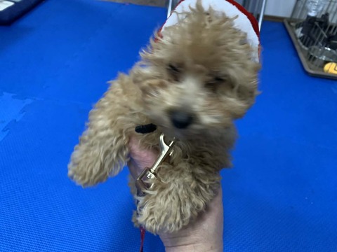 8c2b8b87-111a-40d6-aa9a-5dbb561ce7a0