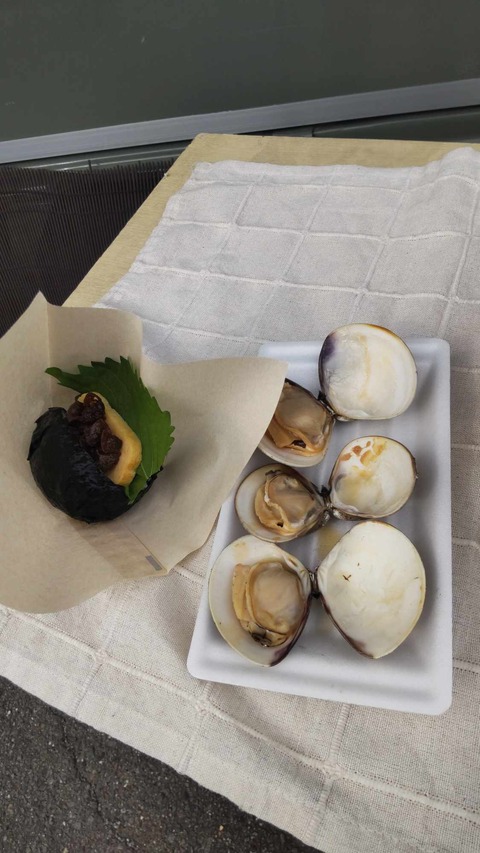 460644760_915492160524008_8891084375885496691_n