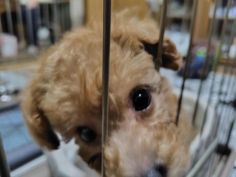 9b22dd48-f8b0-4864-9e35-ea7111d49071