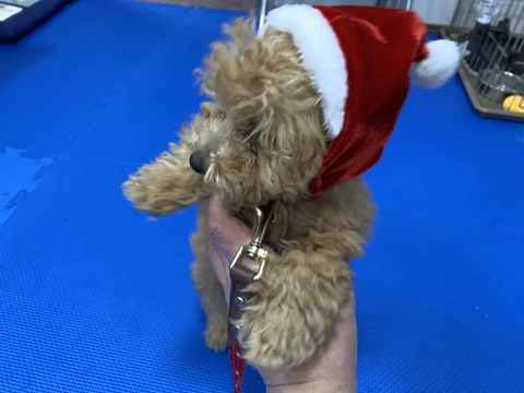 9c5502f0-9ffb-4144-97c4-d9b889c852f1