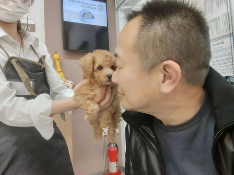 8e25fc0f-727d-400d-ad14-1a8142ada3ec